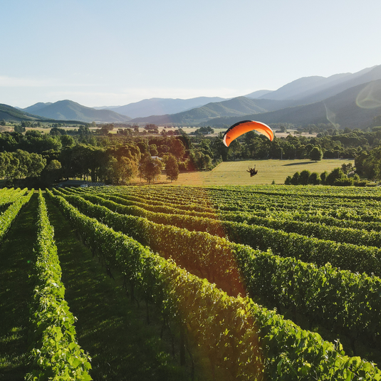 Contact Us – Ringer Reef Winery
